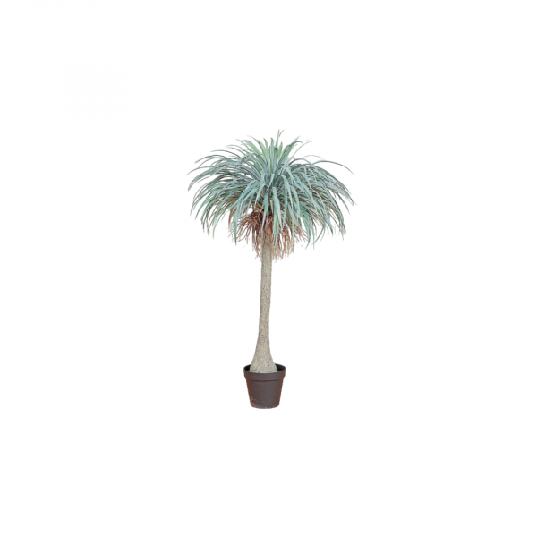 Grossiste de plantes artificielles