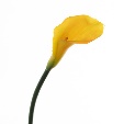 Grossiste de fleurs artificielles