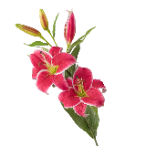Grossiste de fleurs artificielles