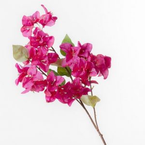 Notre bougainvillier artificiel est conçu avec un grand souci du détail, offrant une apparence réaliste et authentique. Chaque pétale est minutieusement façonné pour reproduire la texture et la forme caractéristiques des fleurs de bougainvillier. La combinaison de nuances vives et vibrantes crée une explosion de couleurs saisissante, capturant ainsi la beauté de cette plante en fleurs.