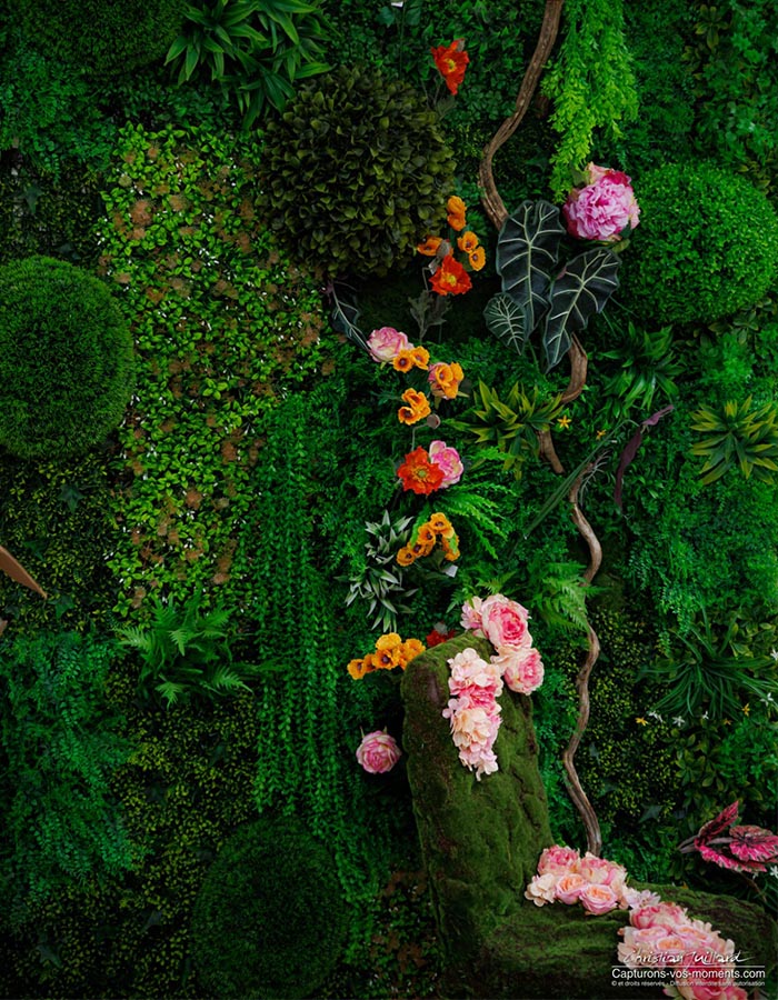 photo site - 1