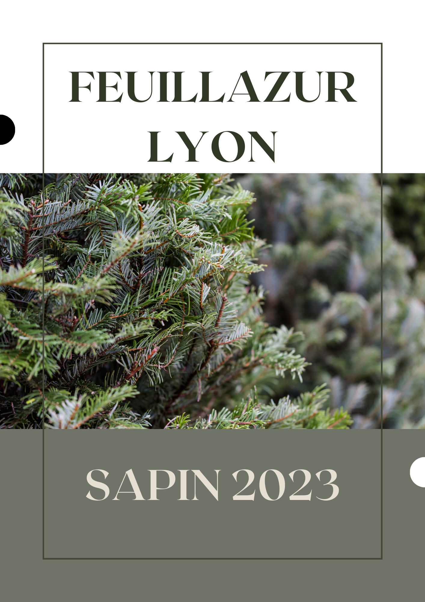 Catalogue Sapin