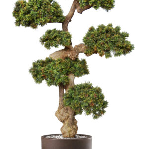 Arbre artificiel -Boxwood Mini Pom Pom