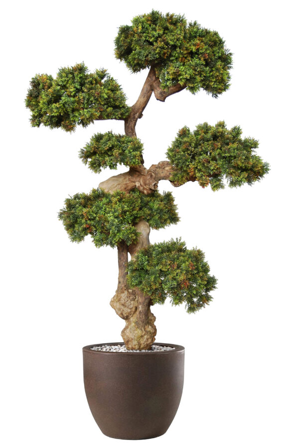 Arbre artificiel -Boxwood Mini Pom Pom