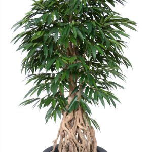 Arbre-artificiel-longifolia