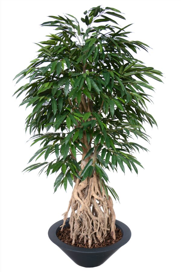 Arbre-artificiel-longifolia