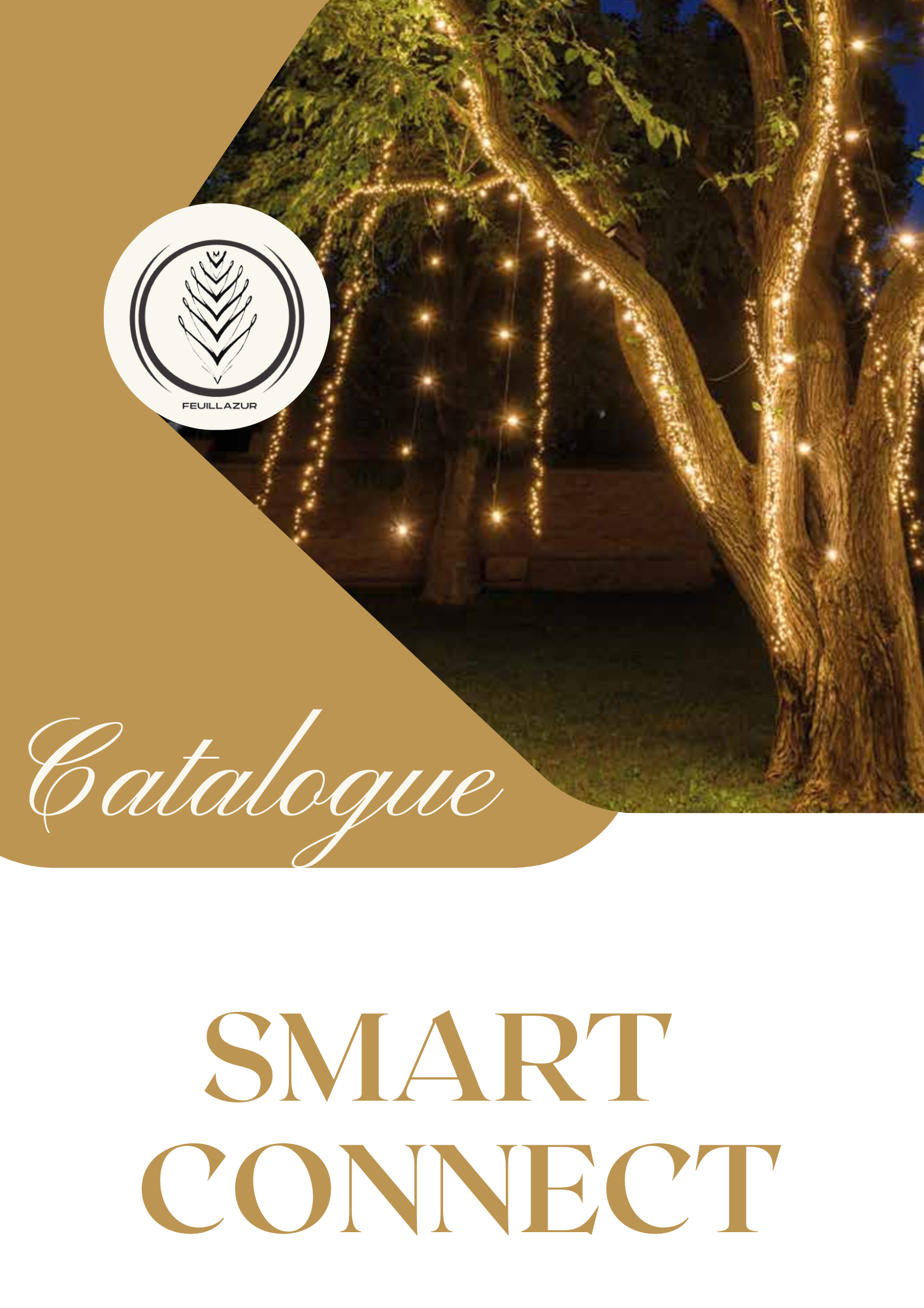 CATALOGUE SMART CONNECT