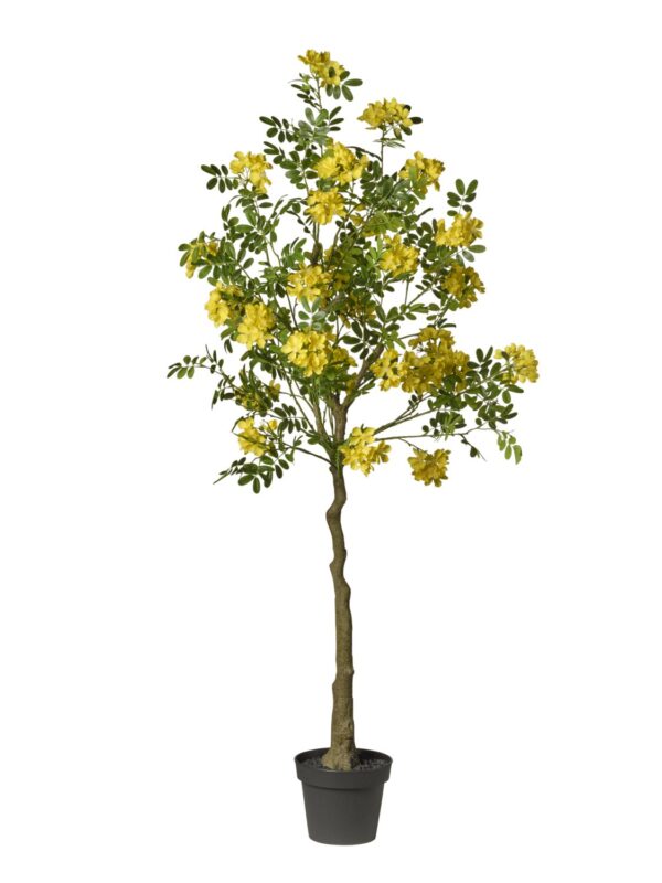 acacia artificiel en pot