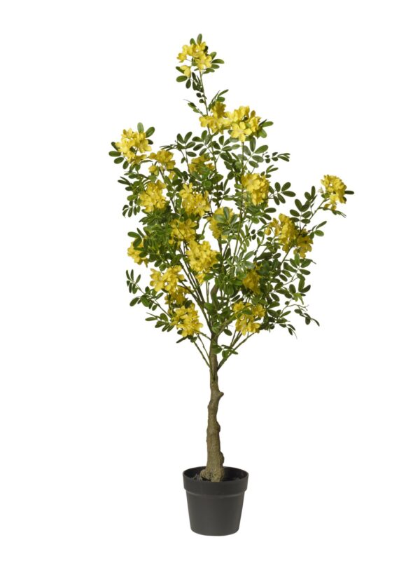 Arbre Acacia Artificiel