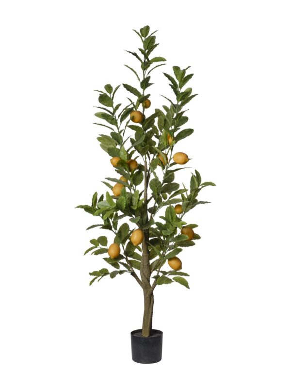 Citronnier artificiel