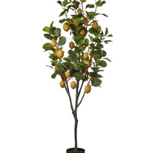 Citronnier artificiel