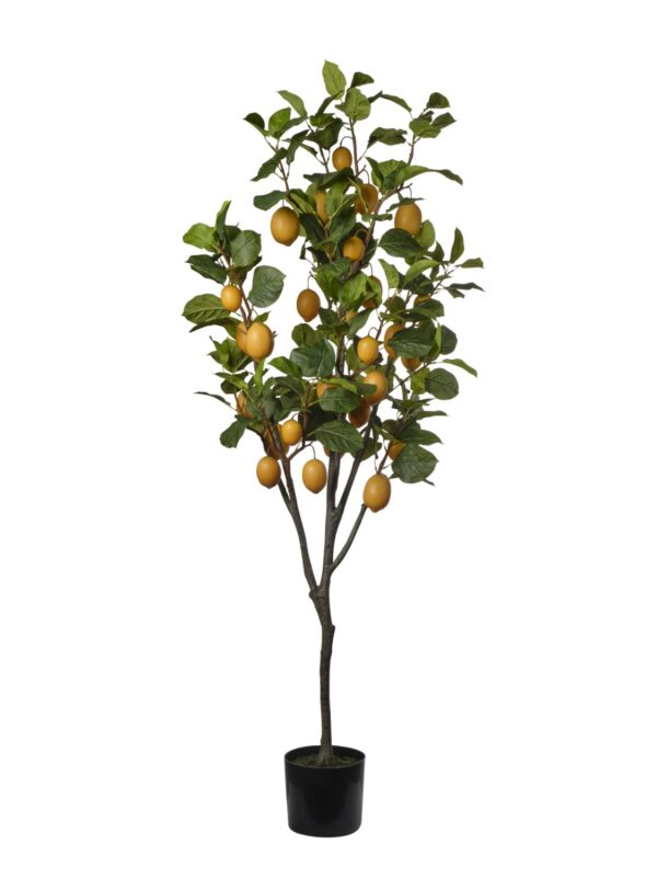 Citronnier artificiel