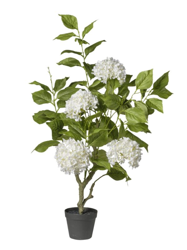 Hortensia artificiel blanc