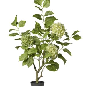 Hortensia artificiel vert