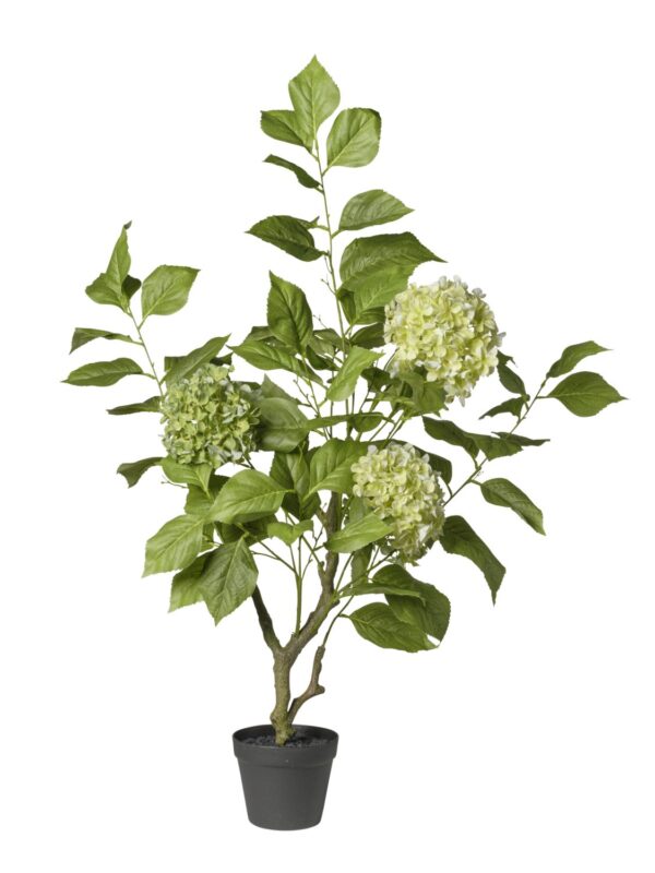 Hortensia artificiel vert
