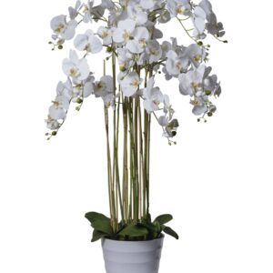 Orchidée artificielle blanche