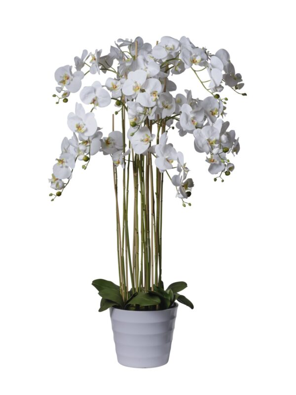 Orchidée artificielle blanche