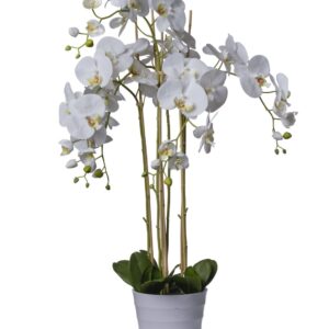 Orchidée artificielle blanche