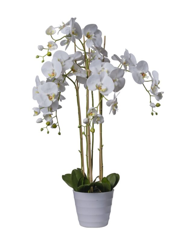 Orchidée artificielle blanche