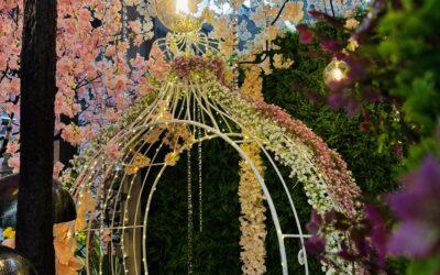 Feuillazur : Votre grossiste de décoration événementielle en Belgique