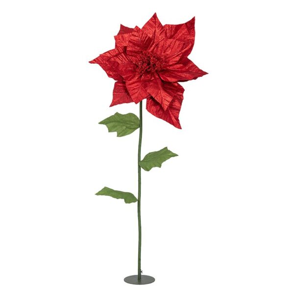 Poinsettia géant