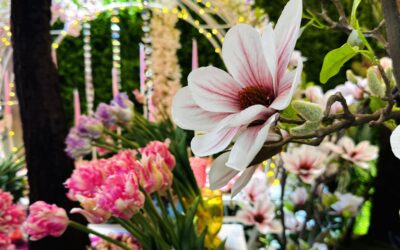 Feuillazur : votre fournisseur incontournable de décorations