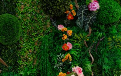 Décoration d’événement : l’importance de choisir le bon fournisseur