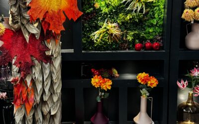 Comment réaliser sa vitrine d’automne avec Feuillazur ?