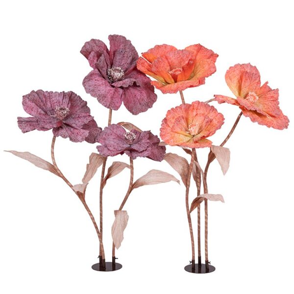 Pivoines Géantes