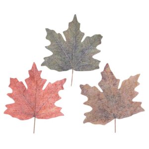 feuille d’érable décorative