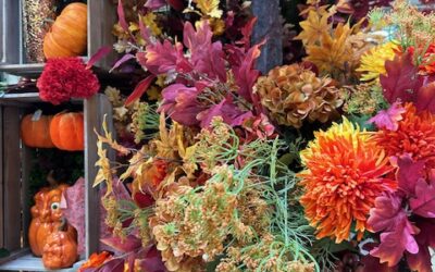 Décoration automnale et Halloween : un atout pour les parcs d’attractions