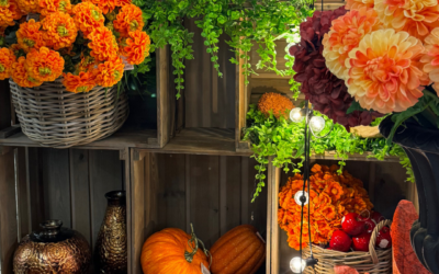 Décoration Halloween : Trouvez le Grossiste et Fournisseur Idéal pour des Ambiances Inoubliables