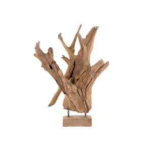 Racine en teck naturel sur socle