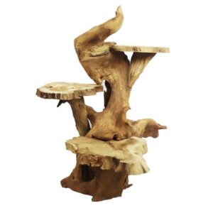 Root teak wood