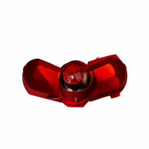 CAJITA – Rose Éternelle Rouge Joyero avec Collier