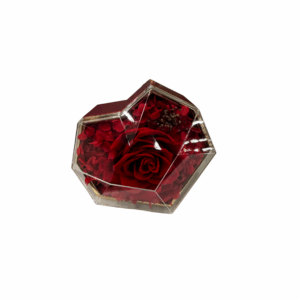 Petite boîte avec rose rouge préservée – Coffret surprise