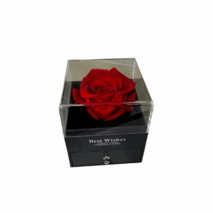 BOÎTE COFFRET À BIJOUX TIROIR