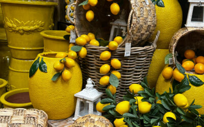 Décoration saisonnière pour les professionnels en Belgique : tendances et solutions pour sublimer vos espaces