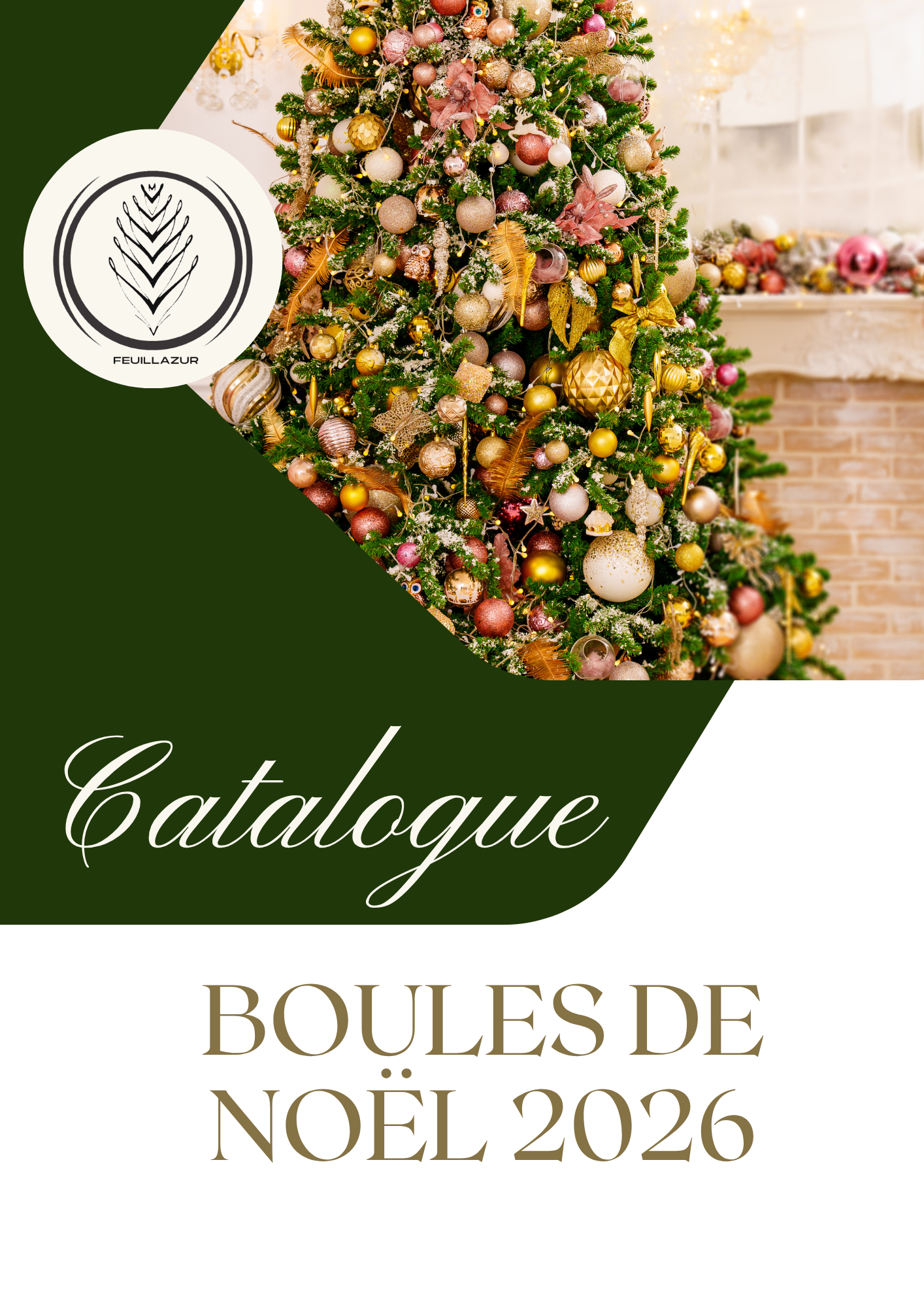 1 ere page catalogue (7)