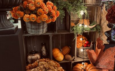 Collection Halloween 2026 : des décors d’exception pour les hôtels, palaces et événements de luxe au Maroc